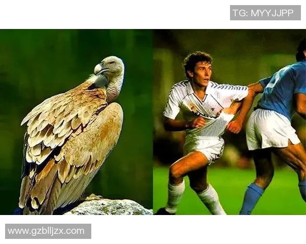 足球明星的外号揭秘你知道他们背后的故事吗