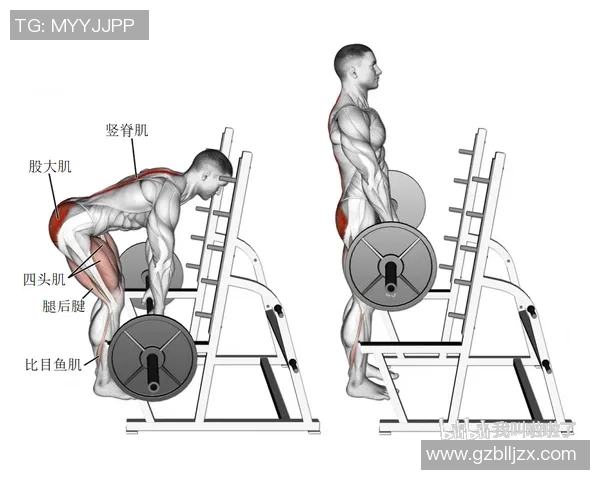 全面提升肩部力量的哑铃杠铃训练动作解析与技巧分享